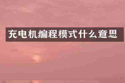 充电机编程模式什么意思