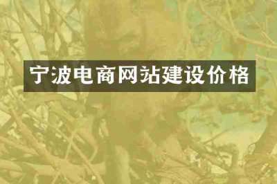 宁波电商网站建设价格