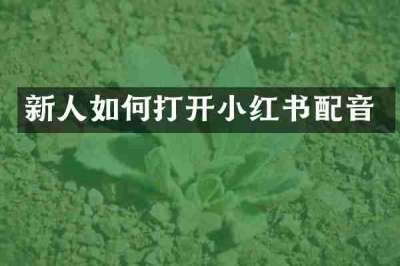 新人如何打开小红书配音