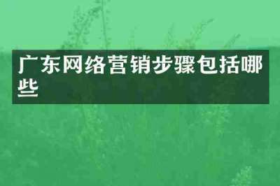 广东网络营销步骤包括哪些