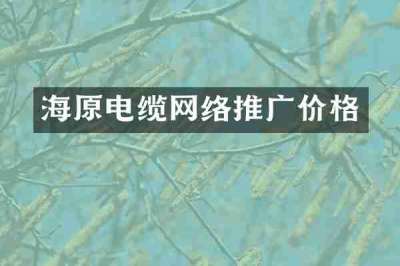 海原电缆网络推广价格