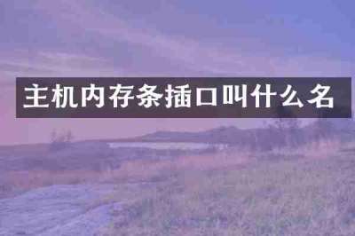 主机内存条插口叫什么名