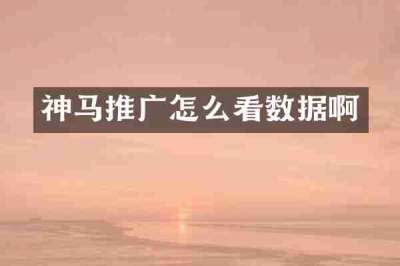 神马推广怎么看数据啊