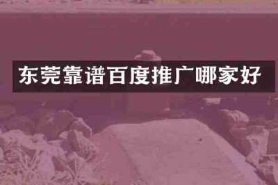东莞靠谱百度推广哪家好
