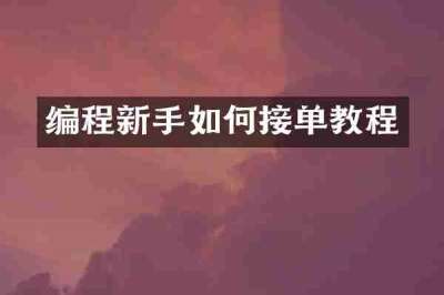 编程新手如何接单教程