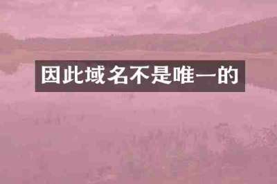 因此域名不是唯一的