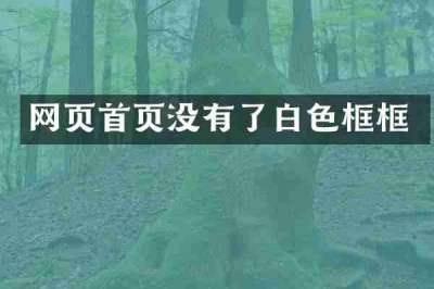 网页首页没有了白色框框