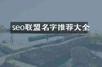 seo联盟名字推荐大全