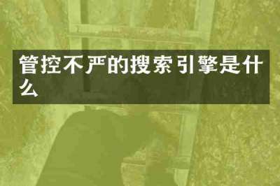 管控不严的搜索引擎是什么