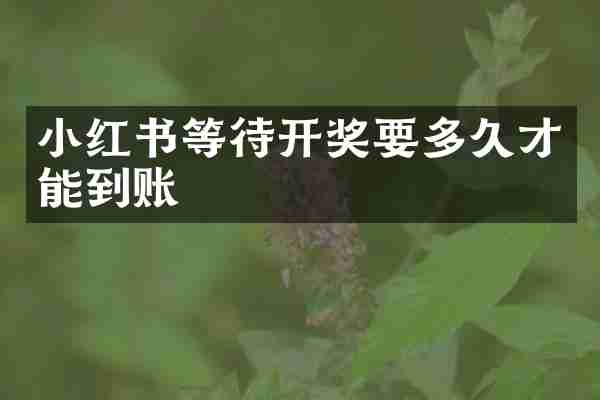 小红书等待开奖要多久才能到账