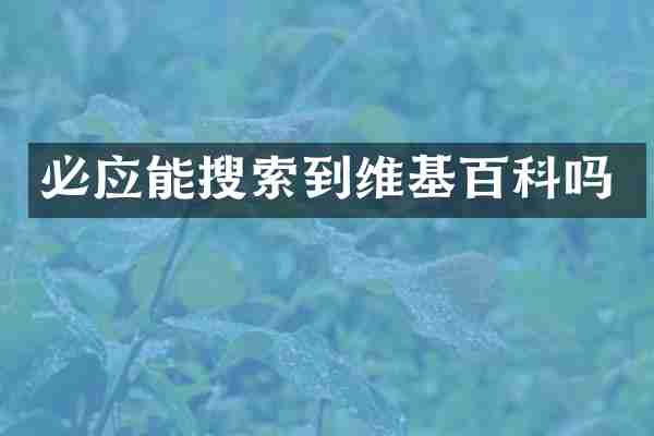 必应能搜索到维基百科吗