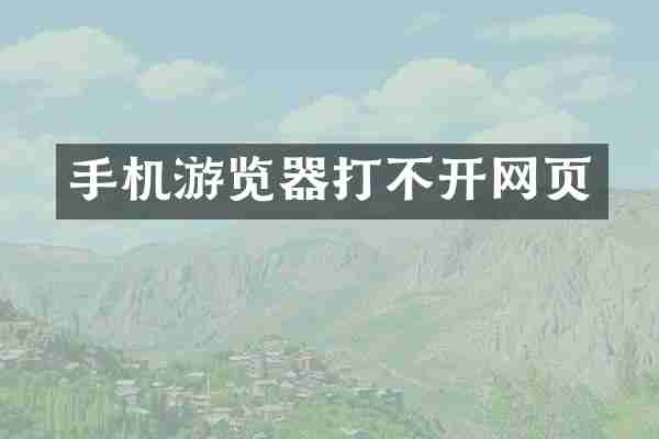 手机游览器打不开网页