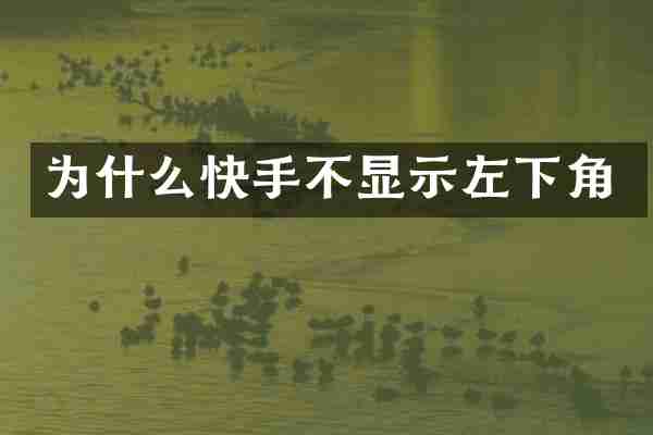为什么快手不显示左下角