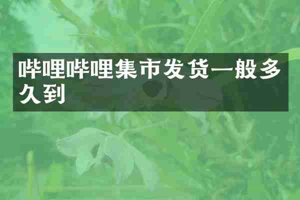 哔哩哔哩集市发货一般多久到