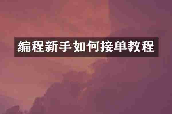 编程新手如何接单教程