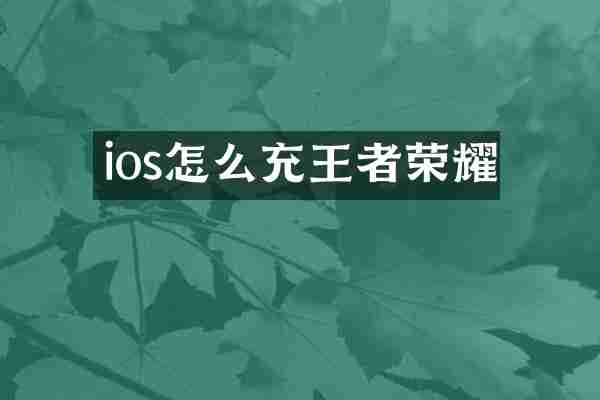 ios怎么充王者荣耀