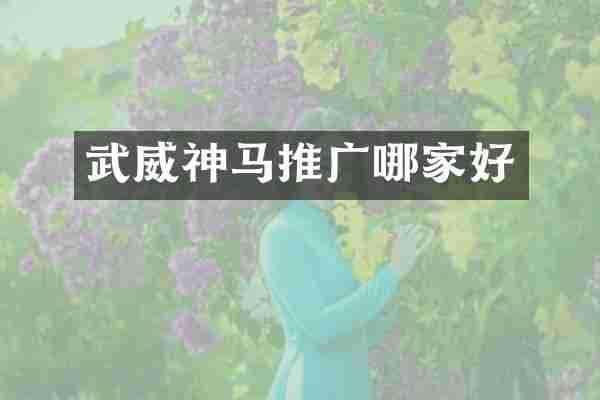 武威神马推广哪家好