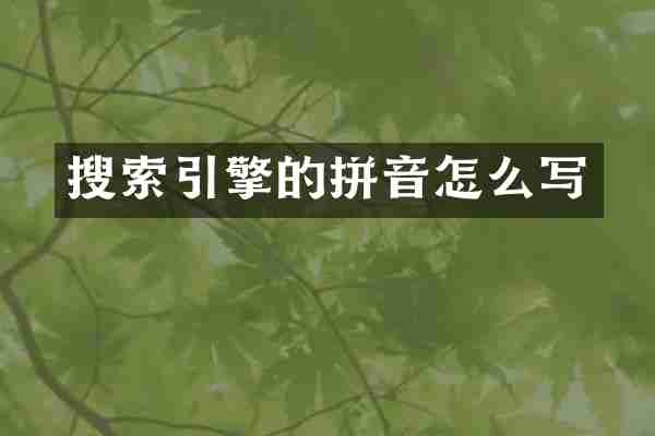 搜索引擎的拼音怎么写