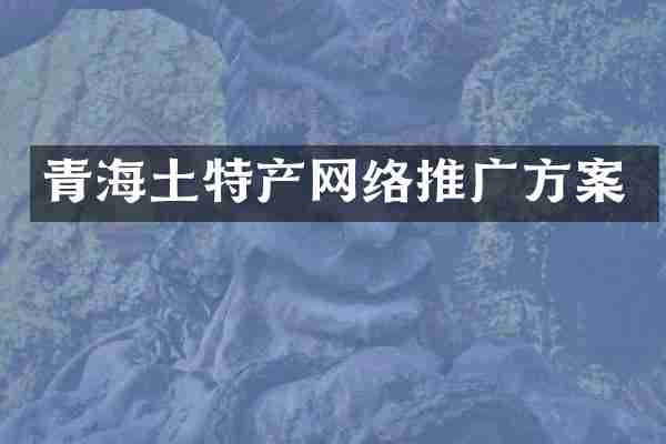 青海土特产网络推广方案