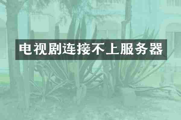 电视剧连接不上服务器