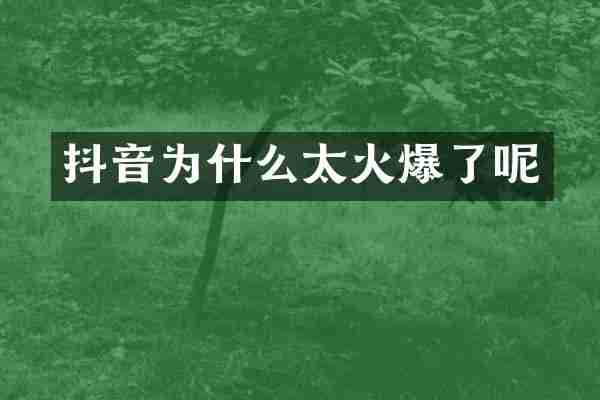 抖音为什么太火爆了呢