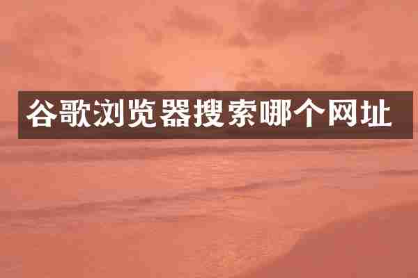 谷歌浏览器搜索哪个网址