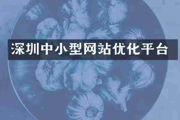 深圳中小型网站优化平台