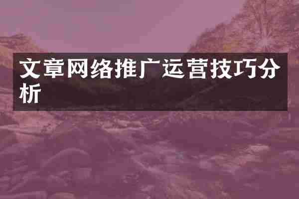 文章网络推广运营技巧分析