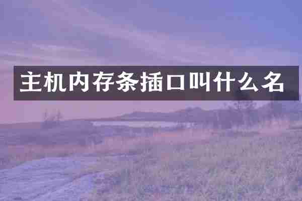 主机内存条插口叫什么名