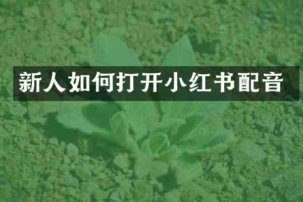 新人如何打开小红书配音