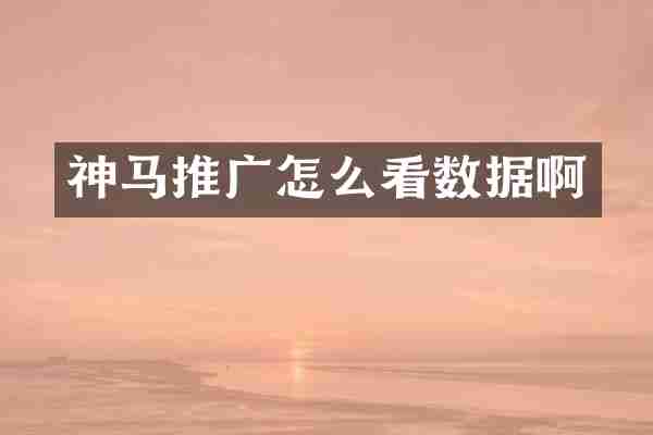 神马推广怎么看数据啊