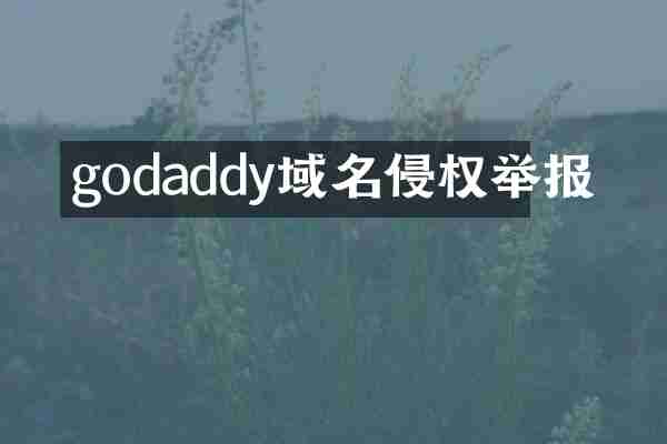 godaddy域名侵权举报