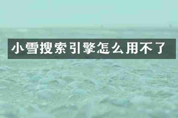 小雪搜索引擎怎么用不了