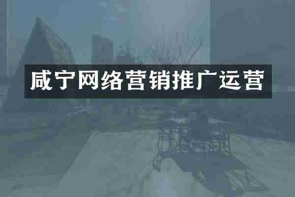咸宁网络营销推广运营