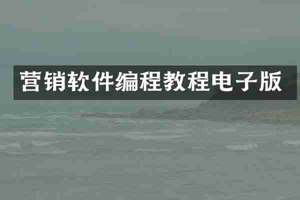 营销软件编程教程电子版