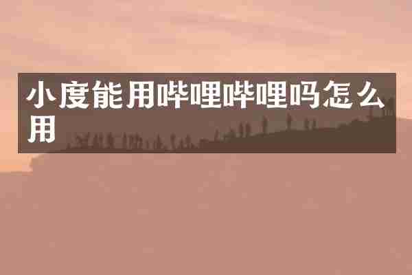 小度能用哔哩哔哩吗怎么用
