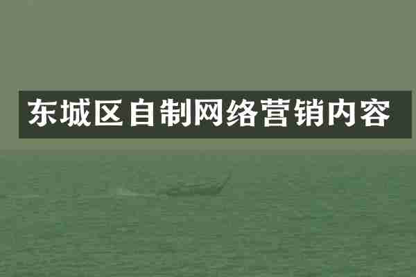 东城区自制网络营销内容