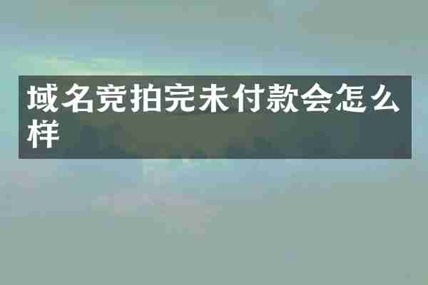 域名竞拍完未付款会怎么样