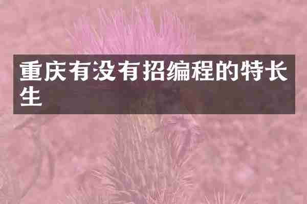 重庆有没有招编程的特长生