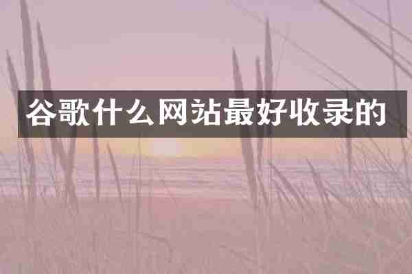 谷歌什么网站最好收录的