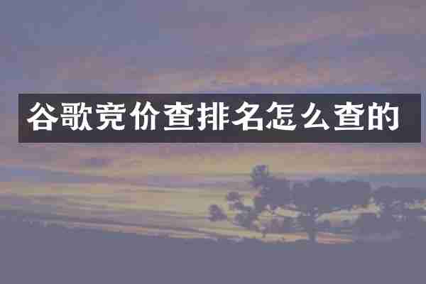 谷歌竞价查排名怎么查的