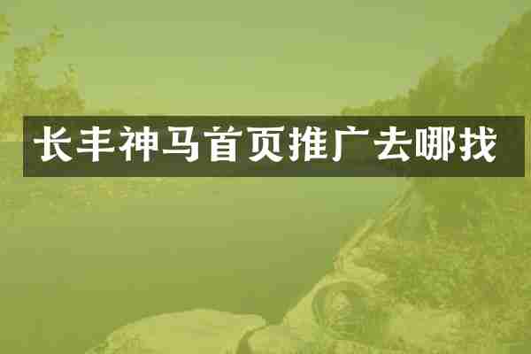 长丰神马首页推广去哪找