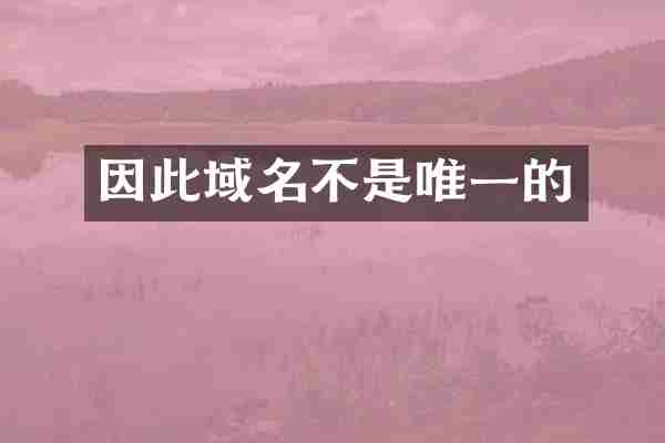 因此域名不是唯一的