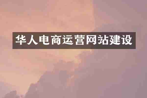 华人电商运营网站建设