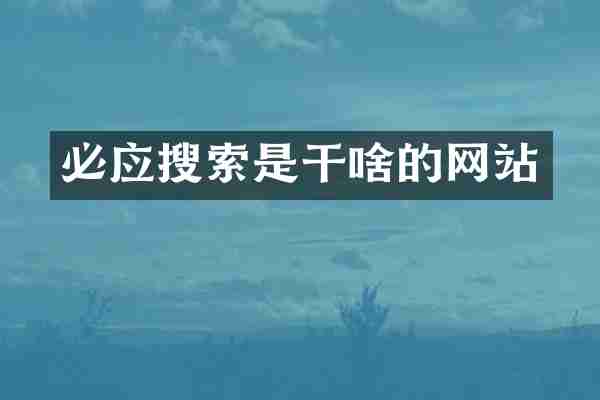 必应搜索是干啥的网站