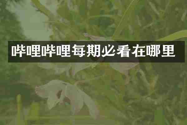 哔哩哔哩每期必看在哪里