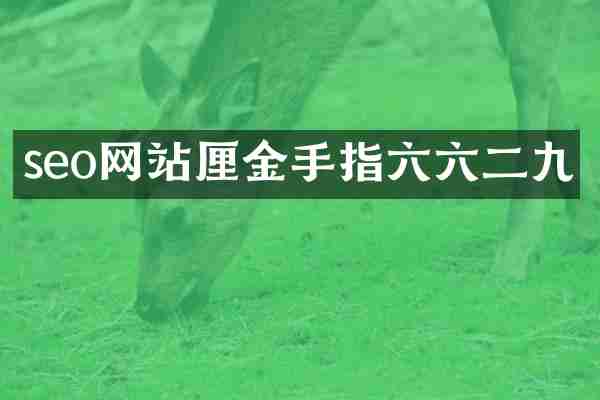seo网站厘金手指六六二九