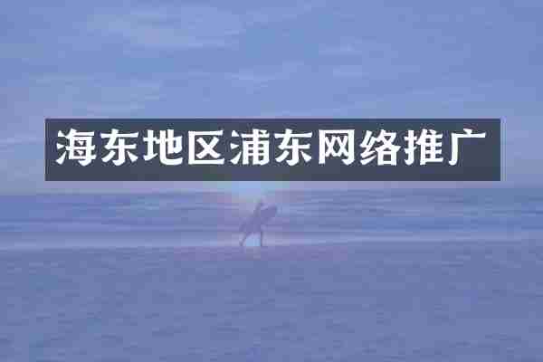 海东地区浦东网络推广