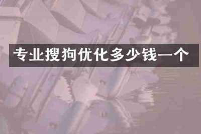 专业搜狗优化多少钱一个