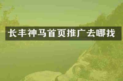 长丰神马首页推广去哪找